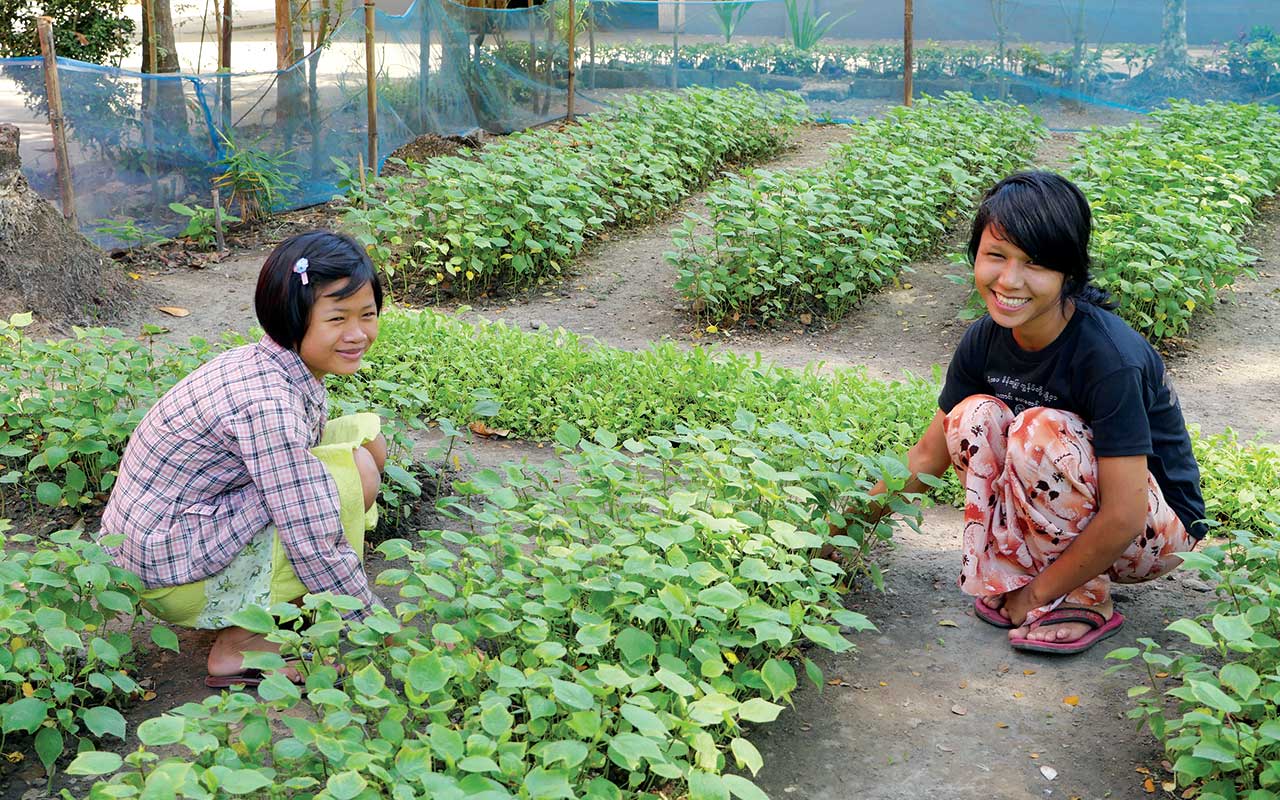 Feeding Hunger,boarding hous ein Nyaungdon, Mynamar