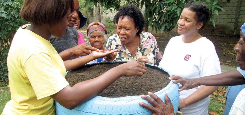 Life grows in Haiti Gardens