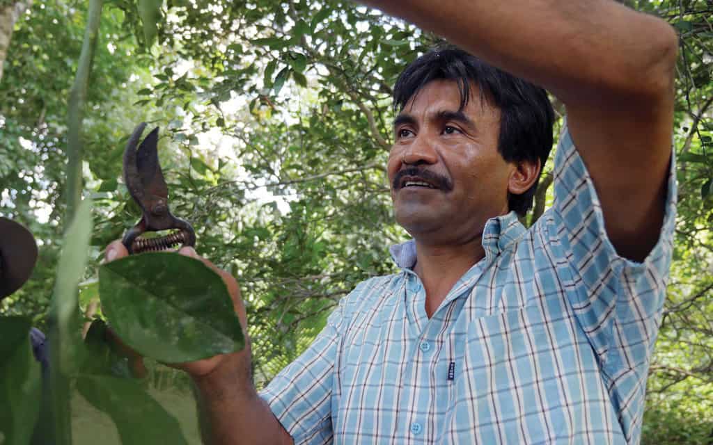 Restoring Paradise in Petén