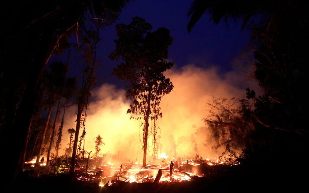 Amazon Synod Gives Voice to the Forest and its People