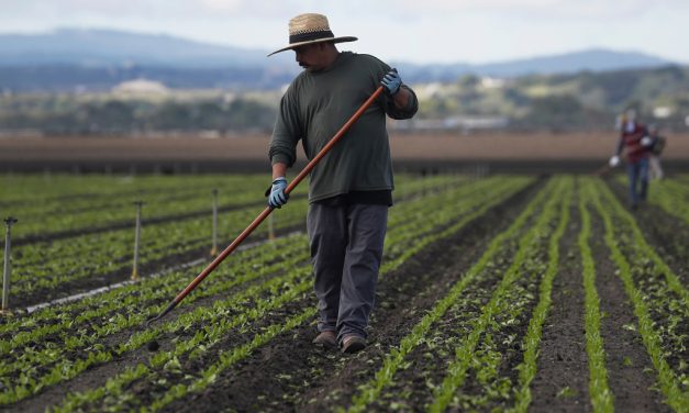 Essential Farmworkers Are Also Vulnerable to Coronavirus