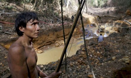 Brazil’s Yanomami Ask OAS for Help Keeping Out Miners, COVID-19