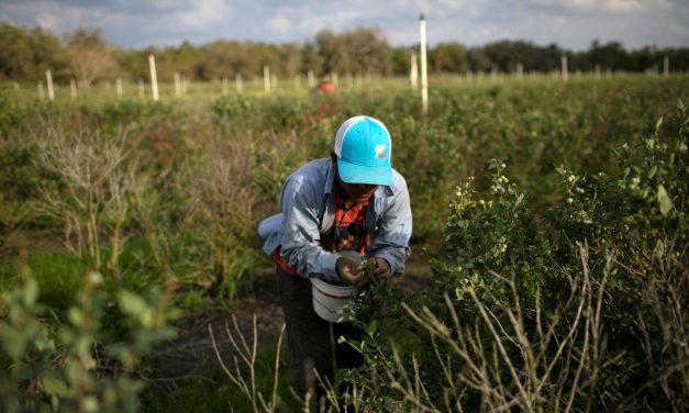 Care of the earth, concern for migrants are connected, cardinal says