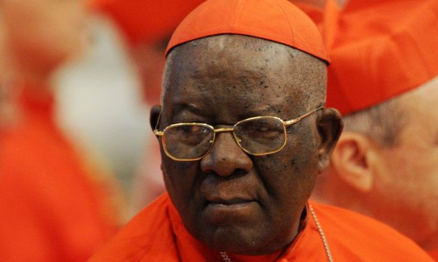 African Cardinal Kidnapped in Cameroon, Released Unharmed