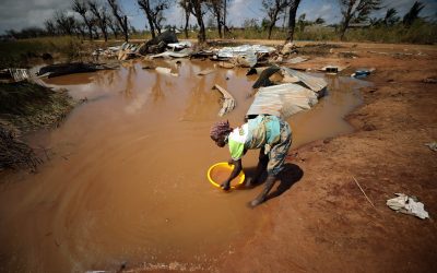 Vatican seeks help for victims of climate change
