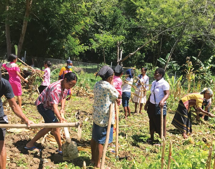 Sister Susan Wanzagi (white shirt) joins the women’s group in clearing their cornfield after they harvested the crop to feed their families and sold the surplus. (Courtesy of Susan Wanzagi/East Timor)