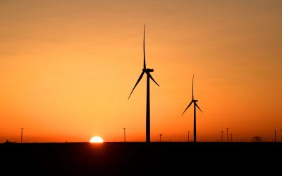 Momentum for Laudato Si’ Gears Up for Next Decade