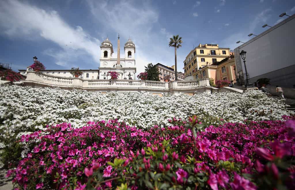 Azalea flowers on the Spanish Steps in Rome in full bloom, on April 26, 2021 (bottom). The message of Pope Francis' encyclical, "Laudato Si', on Care for Our Common Home," continues to be prophetic for a pandemic-hit and post-pandemic world, according to the Vatican office responsible for environmental concerns. (CNS photo/Yara Nardi, Reuters)