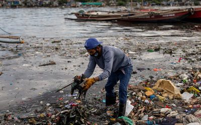 Laudato Si’ Movement Combats Climate Change