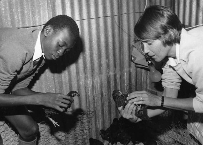 Sister Miller teaches a student to care for poultry in 1988 while serving as an agricultural instructor at Thornhill High School in Gweru, Zimbabwe. (Maryknoll Mission Archives)