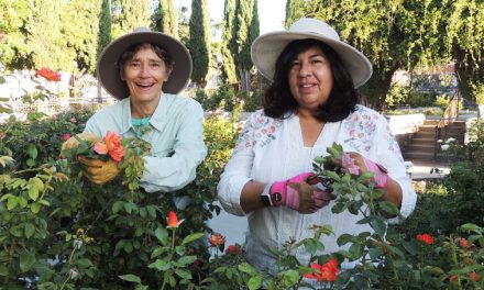 A Lifetime of Learning New Landscapes