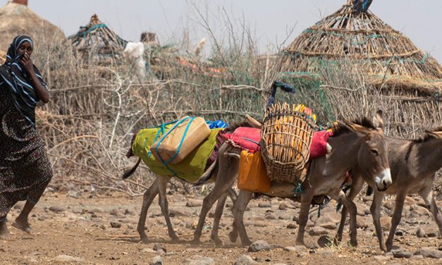 Drought in East Africa Is ‘Dire,’ Warn Officials