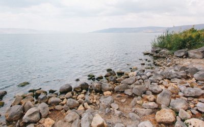 Third Sunday of Easter: A Maryknoll Reflection