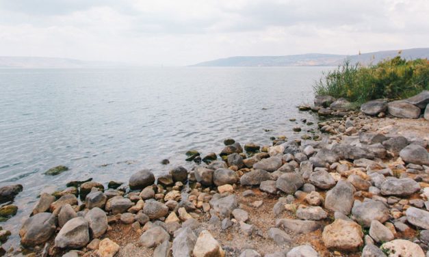 Third Sunday of Easter: A Maryknoll Reflection