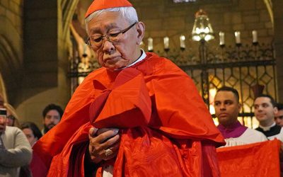 Hong Kong Cardinal Detained then Released