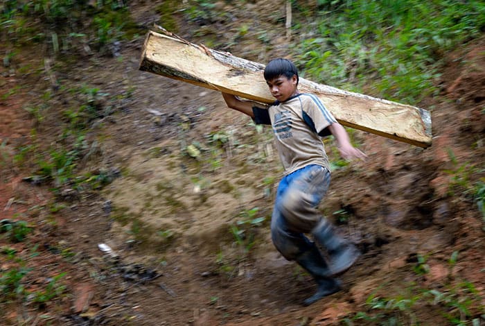 A boy carries a wooden timber destined for a mine tunnel in Pamintaran, a remote gold mining community near Maragusan on the Philippines' southern island of Mindanao, in this June 6, 2012, file photo. Child labor exploitation is rooted in poverty, scandalous inequality and lack of opportunities that protect human dignity, Pope Francis wrote in a message to a global conference on the fight against child labor May 17, 2022. (CNS photo/Paul Jeffrey)