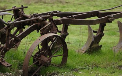 Freedom to Follow: A Maryknoll Reflection