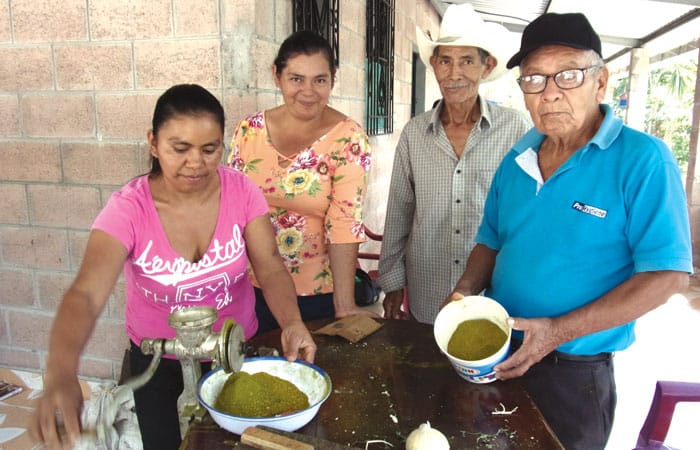 Monte San Juan agricultural program members (left to right) Dorita, Ruvidia, Antonio and Cándido grind herbs for turmeric seasoning. (Courtesy Margaret Vámosy/El Salvador)