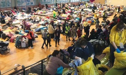 Witnessing the Trauma of War