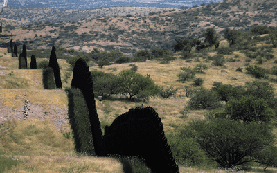 Biden continues construction along parts of border wall started by Trump