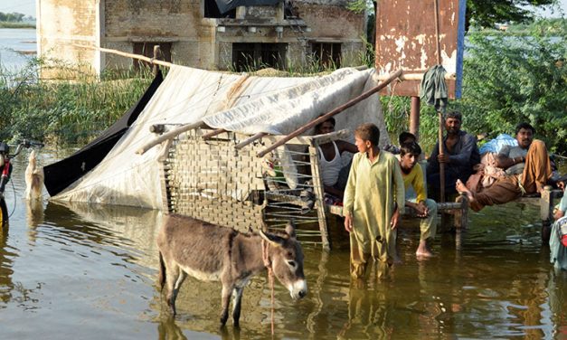 Bishop Calls for Help for Pakistanis Left Homeless, Hungry by Floods