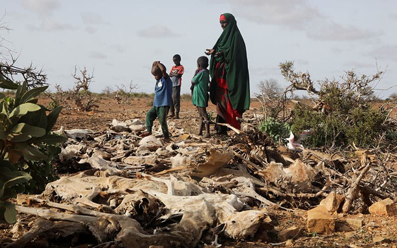 An Somali woman and her children stand near the carcasses of their dead livestock following severe droughts at a camp in Dollow May 24, 2022. Catholic Relief Services is among international agencies warning of famine looming in Somalia. (CNS photo/Feisal Omar, Reuters)