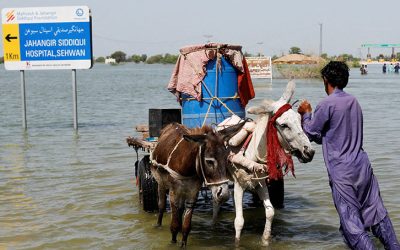 Report Finds Global Poverty Is Worsening