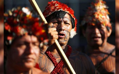 Catholics in the Amazon Pin Hopes on COP15 Biodiversity Conference