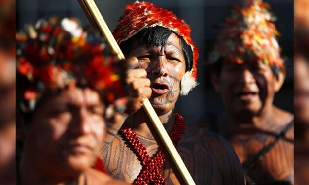 Catholics in the Amazon Pin Hopes on COP15 Biodiversity Conference