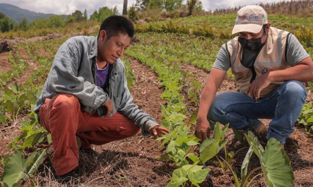 Promoting Water-Smart Agriculture in Central America
