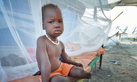 Missioner Tales, Fall 2023