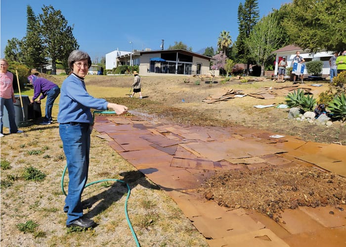 Maryknoll Sister Arlene Trant waters cardboard laid over lawn on the sisters’ Monrovia, California, property, where native plants will soon replace grass. (Rosemary Gavidia, Courtesy of Grow Monrovia/U.S.)