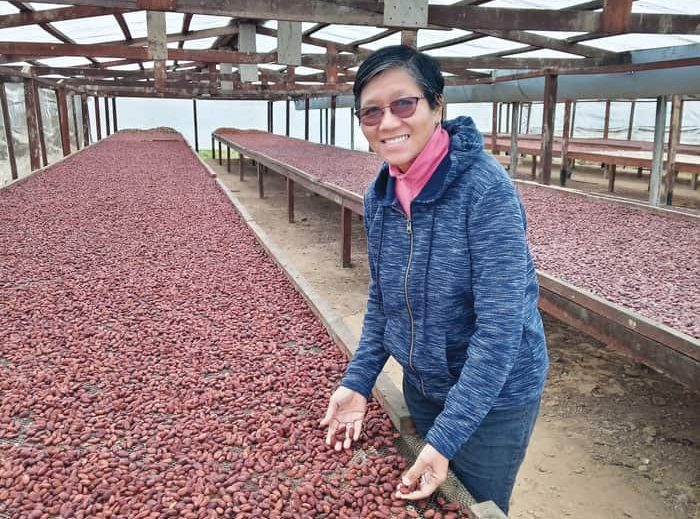 Maryknoll Sister Esperanza Principio surveys cacao beans set out to dry at a farm collective. (Courtesy of Esperanza Principio/Peru)