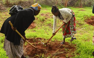 Planting a Future in Kenya: A Maryknoll Lenten Reflection