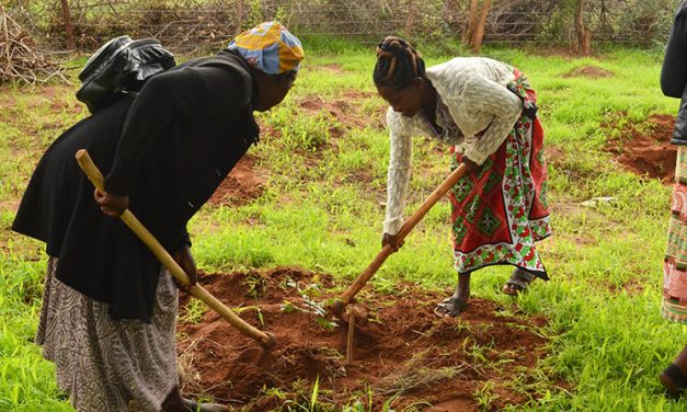 Planting a Future in Kenya: A Maryknoll Lenten Reflection