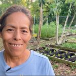 New Florida Farmworker Law Called ‘Inhumane’