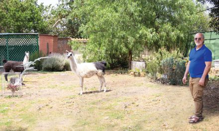 Toward an Ecological Spirituality