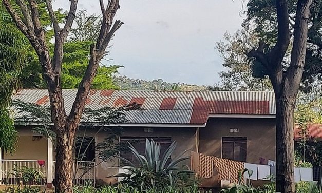 Fertile Soil: A Maryknoll Reflection