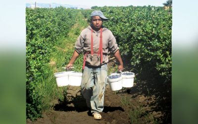 God Walks with Migrant Farmworkers