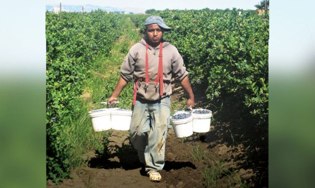 God Walks with Migrant Farmworkers