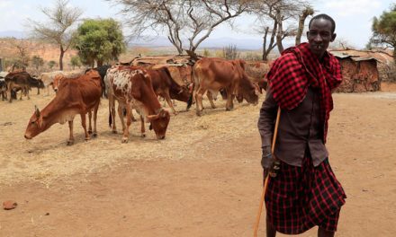 World Watch: Global Debt Crisis Needs a Jubilee