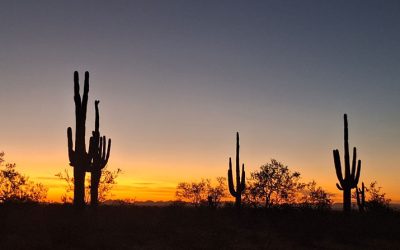 Poem: A Migrant’s Trail