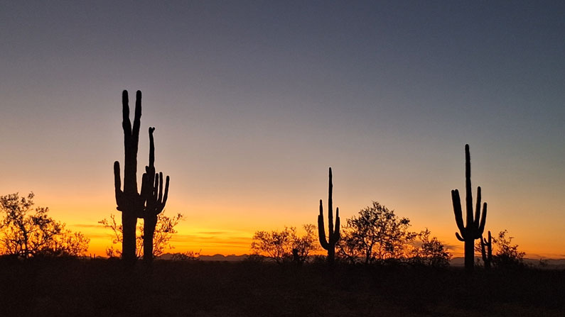 Poem: A Migrant’s Trail