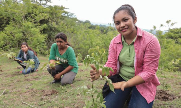 World Watch: Climate Action Must Continue