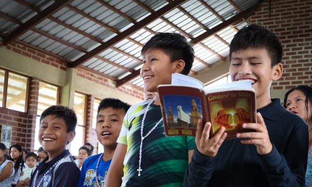 Learning Synodality from Theologians of Life