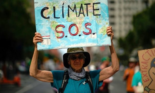 Bishops Denounce “False Solutions” to the Global Climate Crisis