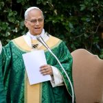 Leo XIV Prays for Conversion of Those Resisting Climate Action at New Mass