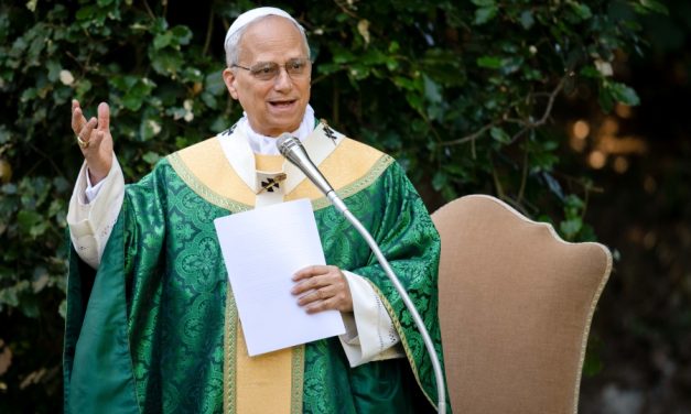 Leo XIV Prays for Conversion of Those Resisting Climate Action at New Mass
