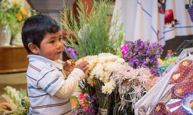 Greed Is Not the Path: A Maryknoll Reflection
