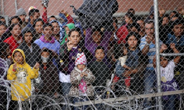 Bishop Seitz Shares Migrants’ Stories with Pope
